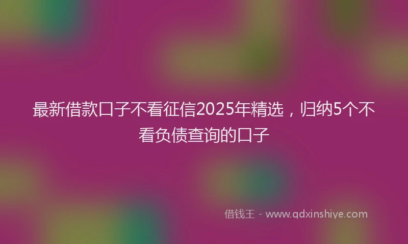 最新借款口子不看征信2025年精选，归纳5个不看负债查询的口子