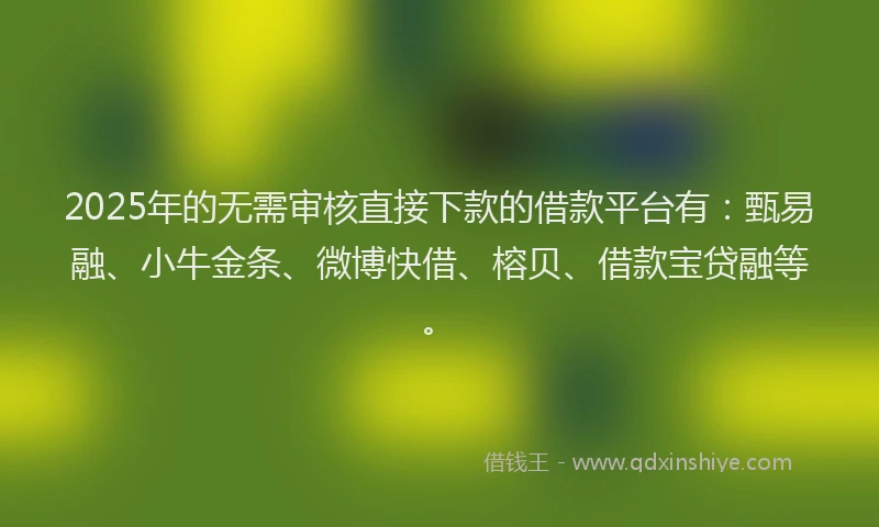 2025年的无需审核直接下款的借款平台有：甄易融、小牛金条、微博快借、榕贝、借款宝贷融等。