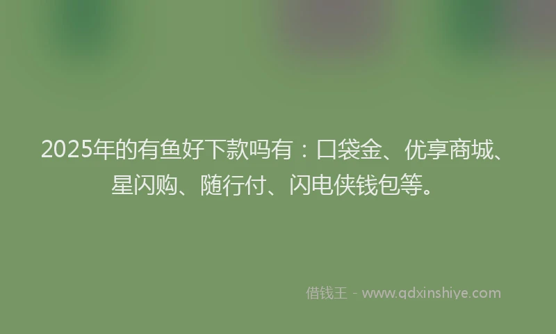 2025年的有鱼好下款吗有：口袋金、优享商城、星闪购、随行付、闪电侠钱包等。