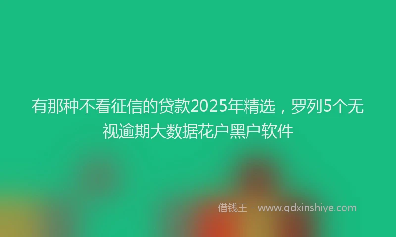 有那种不看征信的贷款2025年精选，罗列5个无视逾期大数据花户黑户软件