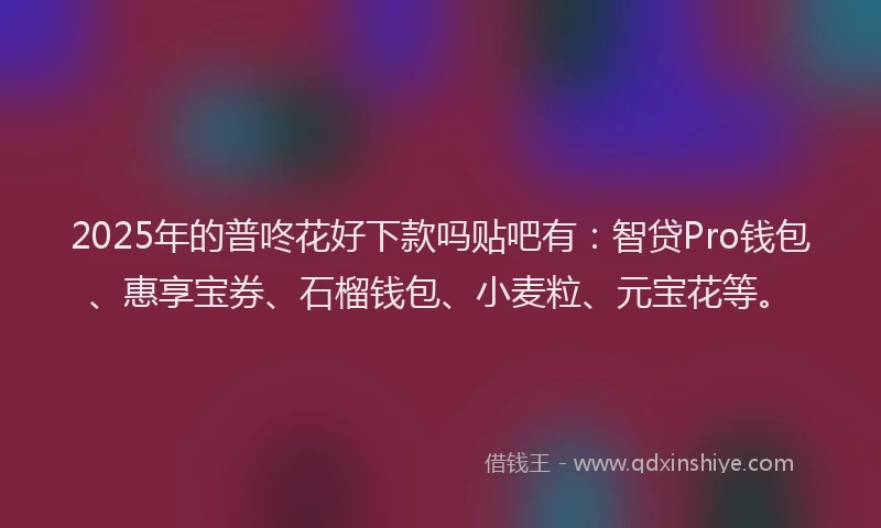 2025年的普咚花好下款吗贴吧有：智贷Pro钱包、惠享宝券、石榴钱包、小麦粒、元宝花等。