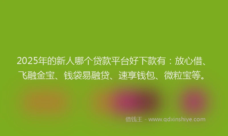 2025年的新人哪个贷款平台好下款有：放心借、飞融金宝、钱袋易融贷、速享钱包、微粒宝等。