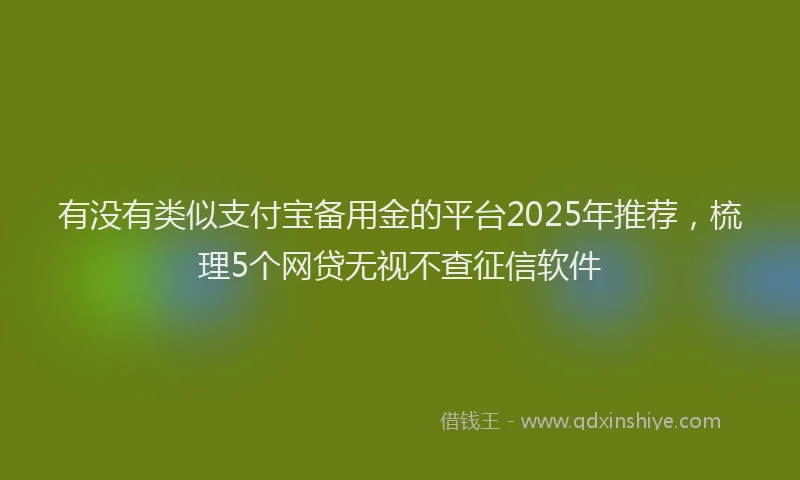 有没有类似支付宝备用金的平台2025年推荐，梳理5个网贷无视不查征信软件