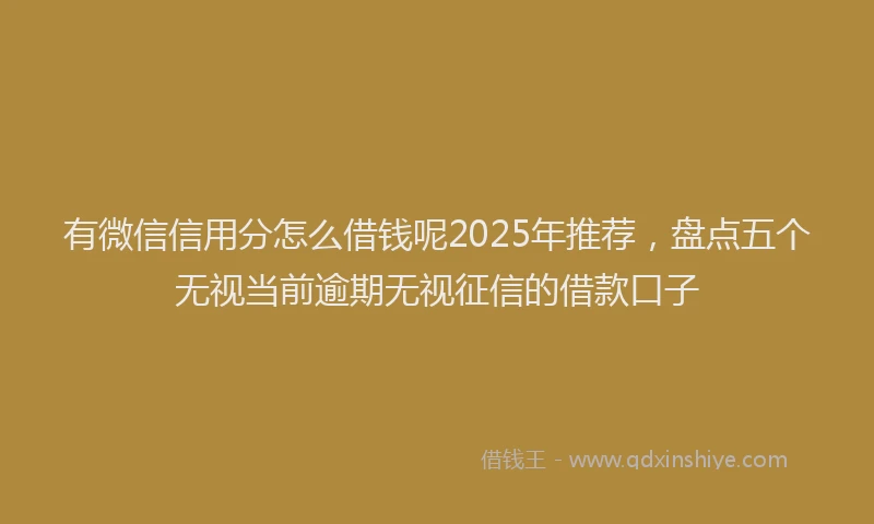有微信信用分怎么借钱呢2025年推荐，盘点五个无视当前逾期无视征信的借款口子