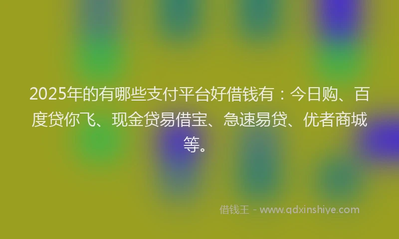 2025年的有哪些支付平台好借钱有：今日购、百度贷你飞、现金贷易借宝、急速易贷、优者商城等。