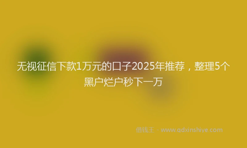 无视征信下款1万元的口子2025年推荐，整理5个黑户烂户秒下一万
