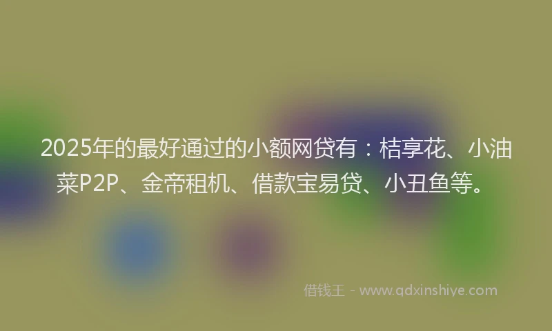 2025年的最好通过的小额网贷有：桔享花、小油菜P2P、金帝租机、借款宝易贷、小丑鱼等。