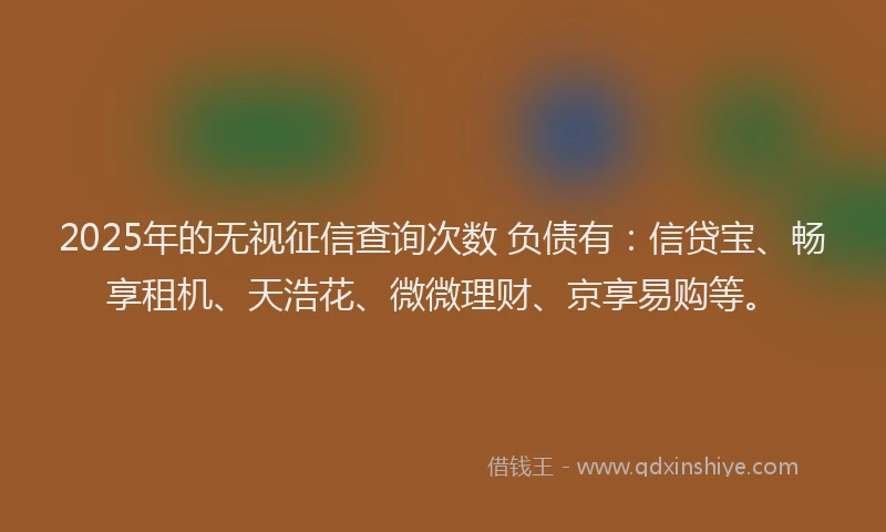 2025年的无视征信查询次数 负债有：信贷宝、畅享租机、天浩花、微微理财、京享易购等。