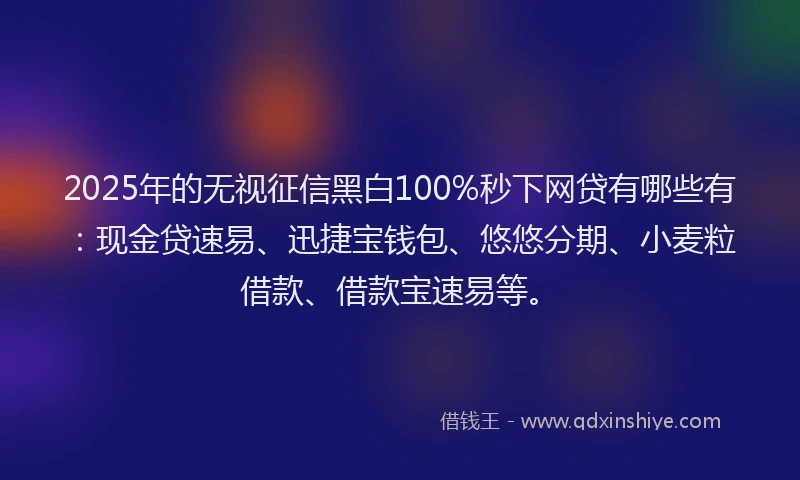 2025年的无视征信黑白100%秒下网贷有哪些有：现金贷速易、迅捷宝钱包、悠悠分期、小麦粒借款、借款宝速易等。