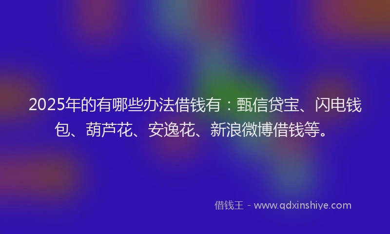 2025年的有哪些办法借钱有：甄信贷宝、闪电钱包、葫芦花、安逸花、新浪微博借钱等。