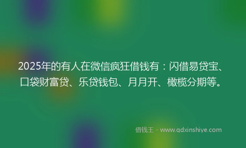 2025年的有人在微信疯狂借钱有：闪借易贷宝、口袋财富贷、乐贷钱包、月月开、橄榄分期等。
