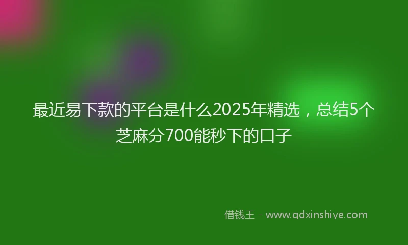 最近易下款的平台是什么2025年精选，总结5个芝麻分700能秒下的口子