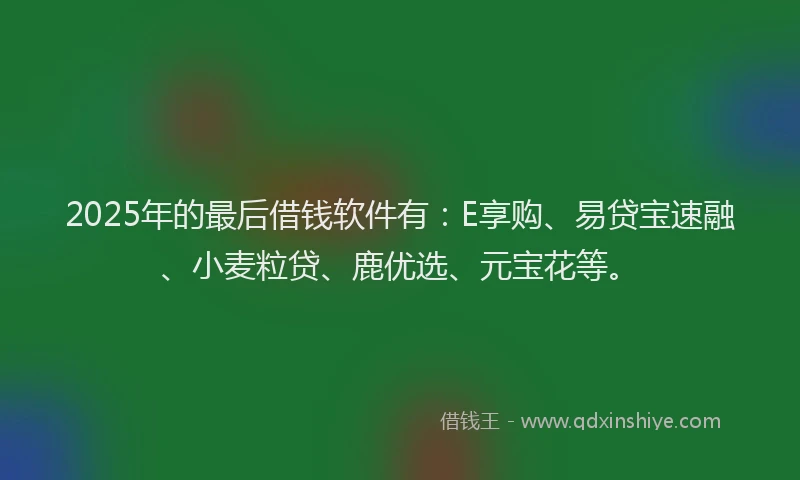 2025年的最后借钱软件有：E享购、易贷宝速融、小麦粒贷、鹿优选、元宝花等。