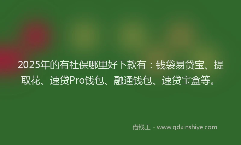 2025年的有社保哪里好下款有：钱袋易贷宝、提取花、速贷Pro钱包、融通钱包、速贷宝盒等。