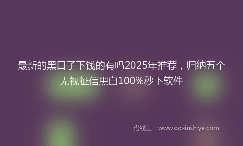 最新的黑口子下钱的有吗2025年推荐，归纳五个无视征信黑白100%秒下软件