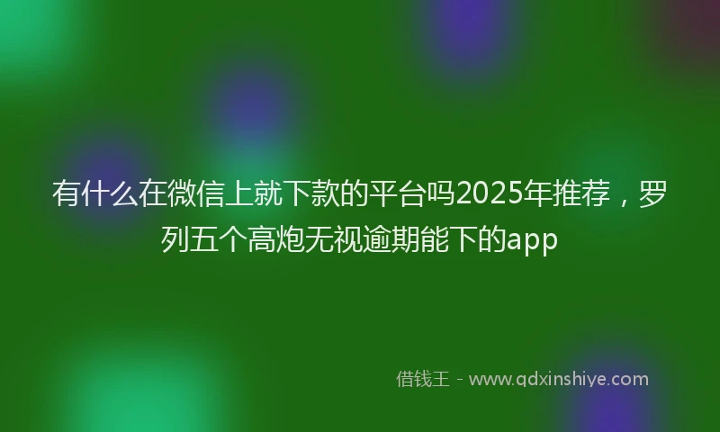 有什么在微信上就下款的平台吗2025年推荐，罗列五个高炮无视逾期能下的app