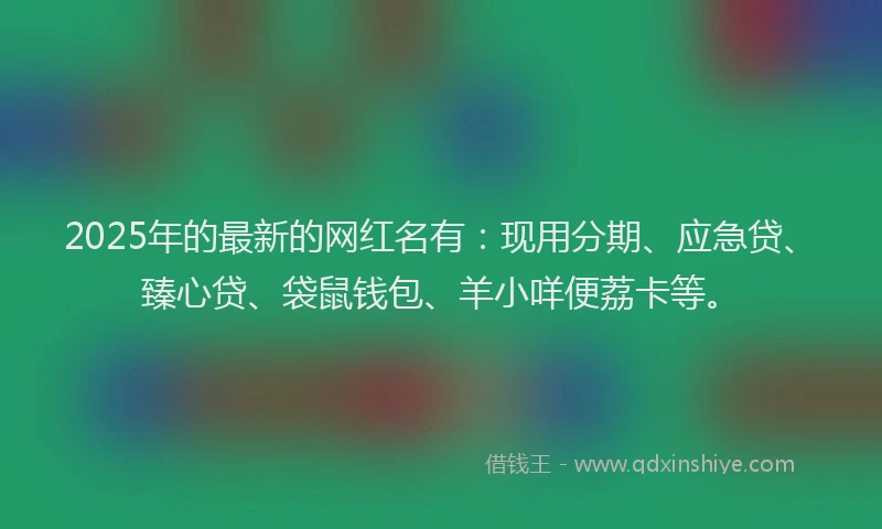 2025年的最新的网红名有：现用分期、应急贷、臻心贷、袋鼠钱包、羊小咩便荔卡等。