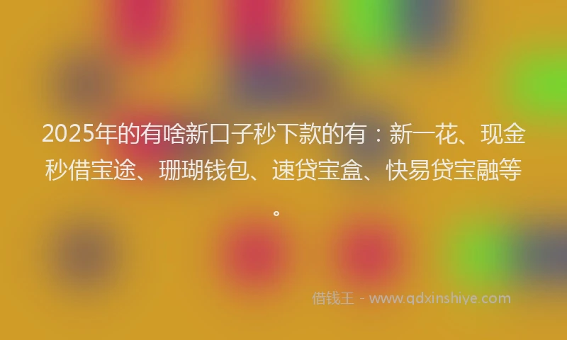 2025年的有啥新口子秒下款的有：新一花、现金秒借宝途、珊瑚钱包、速贷宝盒、快易贷宝融等。