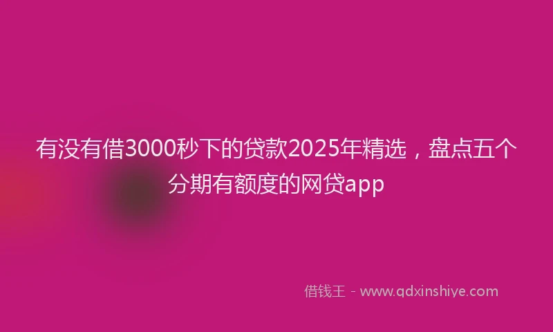 有没有借3000秒下的贷款2025年精选，盘点五个分期有额度的网贷app