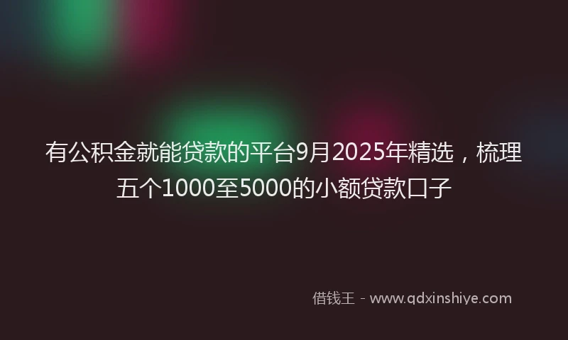 有公积金就能贷款的平台9月2025年精选，梳理五个1000至5000的小额贷款口子