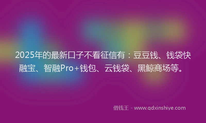 2025年的最新口子不看征信有：豆豆钱、钱袋快融宝、智融Pro+钱包、云钱袋、黑鲸商场等。