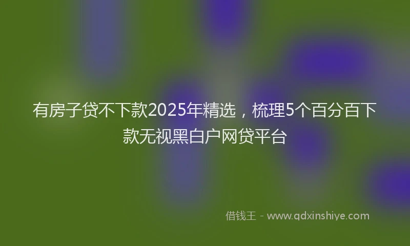 有房子贷不下款2025年精选，梳理5个百分百下款无视黑白户网贷平台