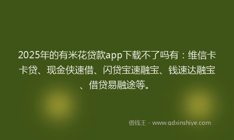 2025年的有米花贷款app下载不了吗有：维信卡卡贷、现金侠速借、闪贷宝速融宝、钱速达融宝、借贷易融途等。