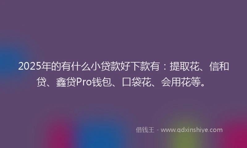 2025年的有什么小贷款好下款有：提取花、信和贷、鑫贷Pro钱包、口袋花、会用花等。