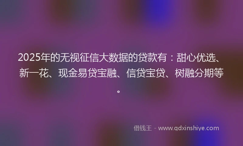 2025年的无视征信大数据的贷款有：甜心优选、新一花、现金易贷宝融、信贷宝贷、树融分期等。