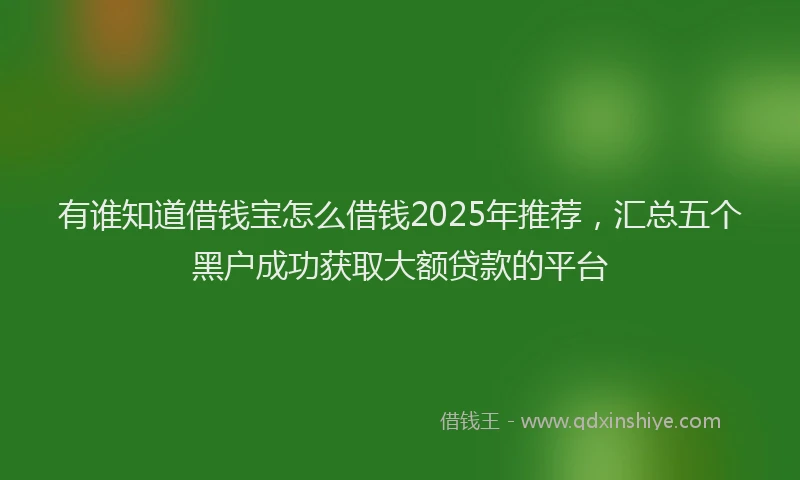 有谁知道借钱宝怎么借钱2025年推荐，汇总五个黑户成功获取大额贷款的平台