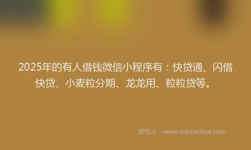 2025年的有人借钱微信小程序有：快贷通、闪借快贷、小麦粒分期、龙龙用、粒粒贷等。
