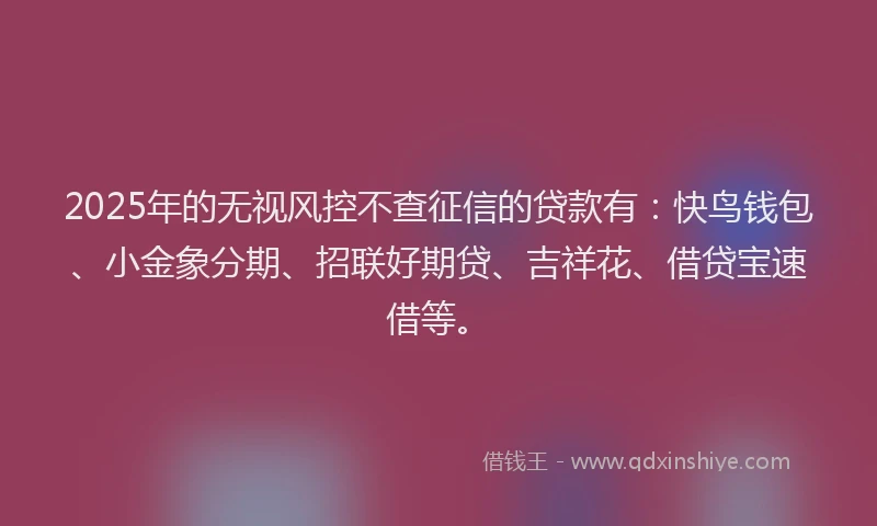 2025年的无视风控不查征信的贷款有：快鸟钱包、小金象分期、招联好期贷、吉祥花、借贷宝速借等。