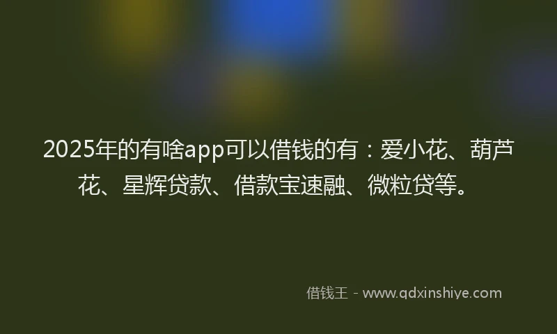 2025年的有啥app可以借钱的有：爱小花、葫芦花、星辉贷款、借款宝速融、微粒贷等。