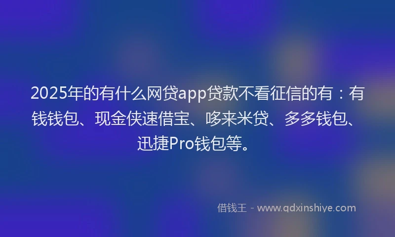 2025年的有什么网贷app贷款不看征信的有：有钱钱包、现金侠速借宝、哆来米贷、多多钱包、迅捷Pro钱包等。