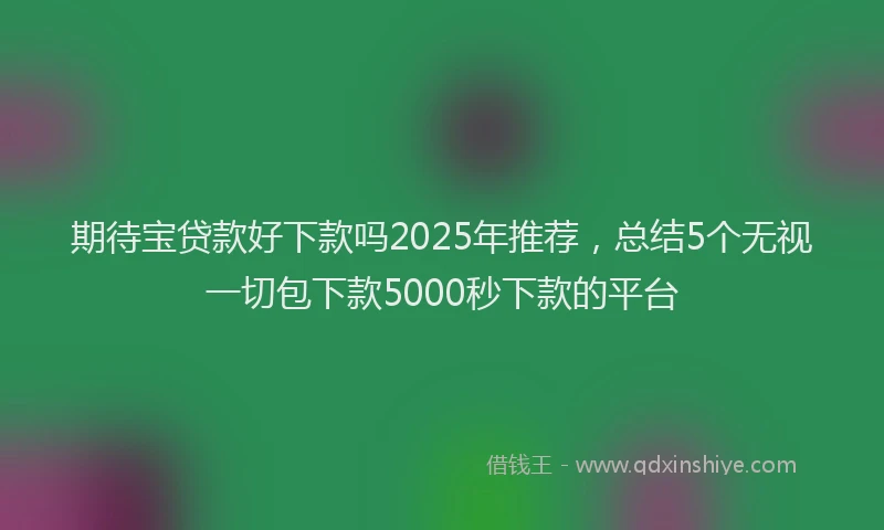 期待宝贷款好下款吗2025年推荐，总结5个无视一切包下款5000秒下款的平台