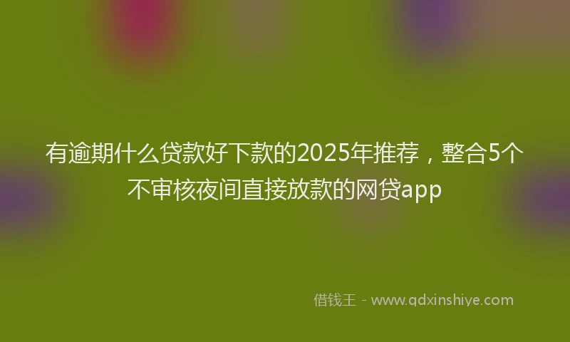 有逾期什么贷款好下款的2025年推荐，整合5个不审核夜间直接放款的网贷app