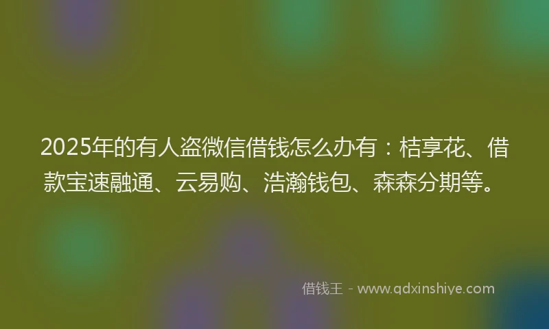2025年的有人盗微信借钱怎么办有：桔享花、借款宝速融通、云易购、浩瀚钱包、森森分期等。