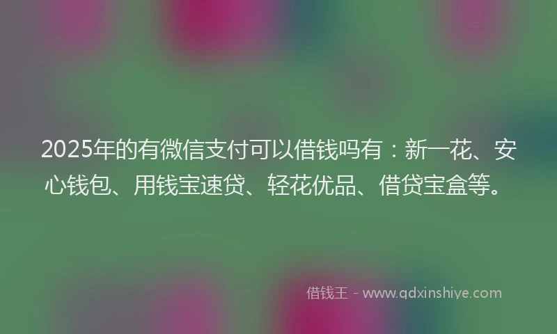 2025年的有微信支付可以借钱吗有：新一花、安心钱包、用钱宝速贷、轻花优品、借贷宝盒等。