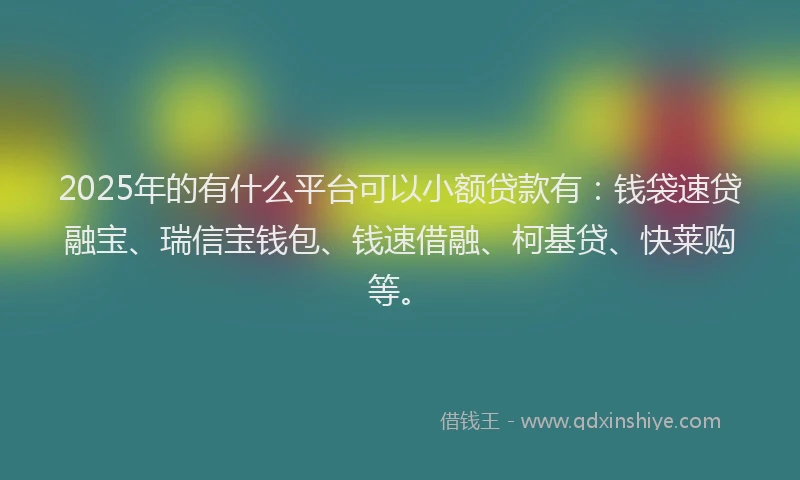 2025年的有什么平台可以小额贷款有：钱袋速贷融宝、瑞信宝钱包、钱速借融、柯基贷、快莱购等。