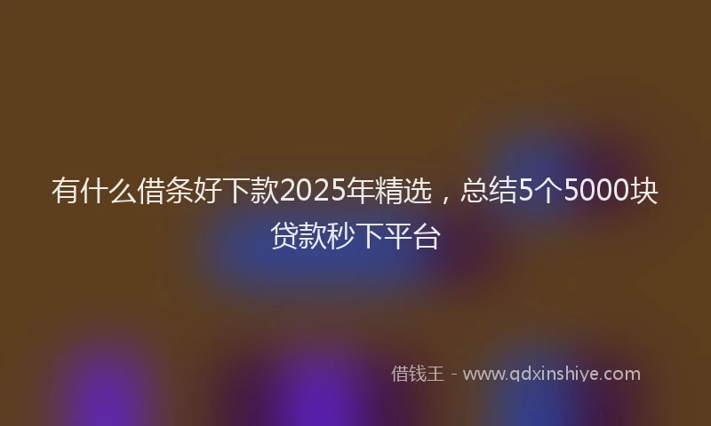 有什么借条好下款2025年精选，总结5个5000块贷款秒下平台