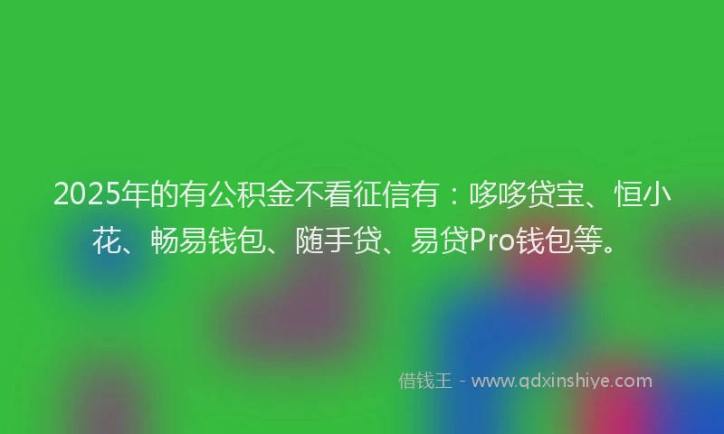 2025年的有公积金不看征信有：哆哆贷宝、恒小花、畅易钱包、随手贷、易贷Pro钱包等。