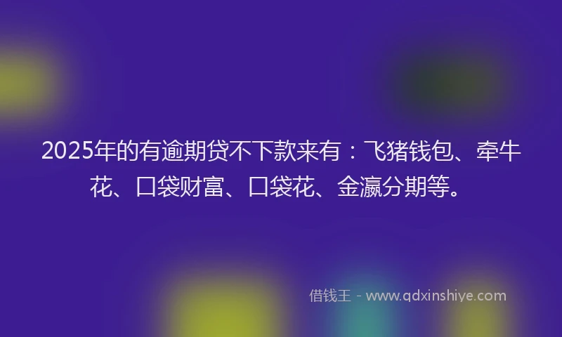 2025年的有逾期贷不下款来有：飞猪钱包、牵牛花、口袋财富、口袋花、金瀛分期等。