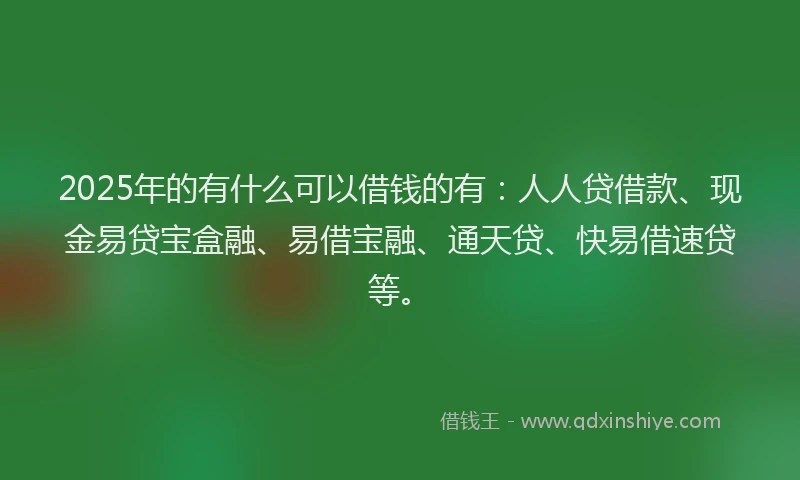 2025年的有什么可以借钱的有：人人贷借款、现金易贷宝盒融、易借宝融、通天贷、快易借速贷等。