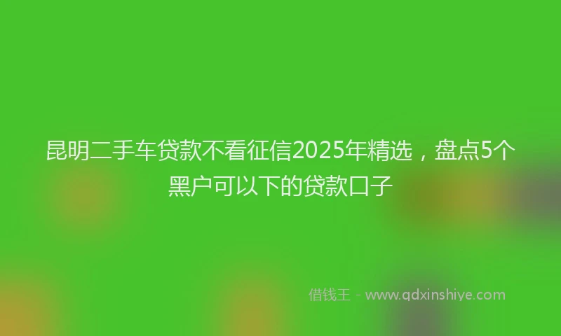昆明二手车贷款不看征信2025年精选，盘点5个黑户可以下的贷款口子