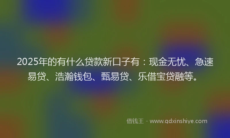 2025年的有什么贷款新口子有：现金无忧、急速易贷、浩瀚钱包、甄易贷、乐借宝贷融等。