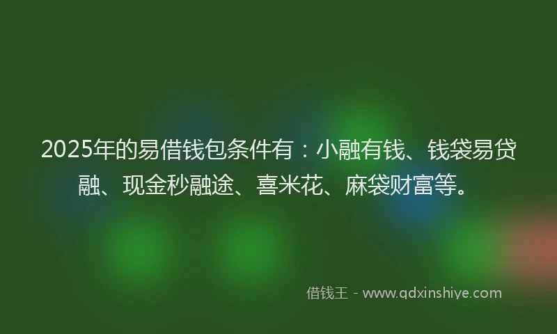 2025年的易借钱包条件有：小融有钱、钱袋易贷融、现金秒融途、喜米花、麻袋财富等。