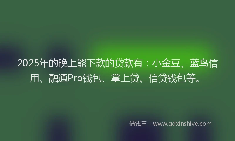 2025年的晚上能下款的贷款有：小金豆、蓝鸟信用、融通Pro钱包、掌上贷、信贷钱包等。