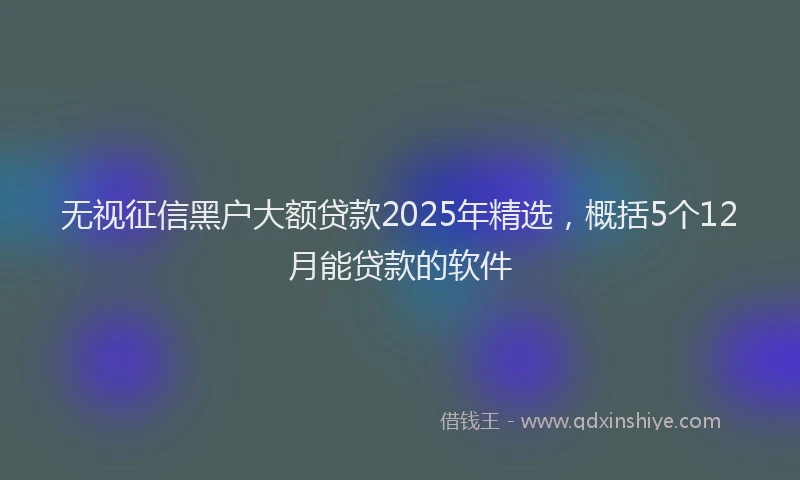 无视征信黑户大额贷款2025年精选，概括5个12月能贷款的软件