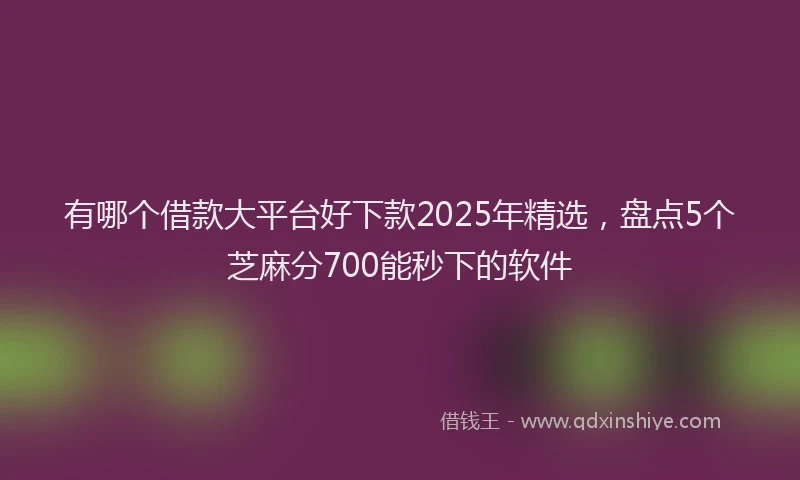 有哪个借款大平台好下款2025年精选，盘点5个芝麻分700能秒下的软件