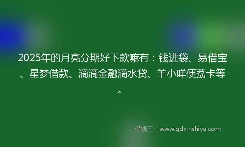 2025年的月亮分期好下款嘛有：钱进袋、易借宝、星梦借款、滴滴金融滴水贷、羊小咩便荔卡等。